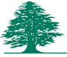 طيران الشرق الاوسط